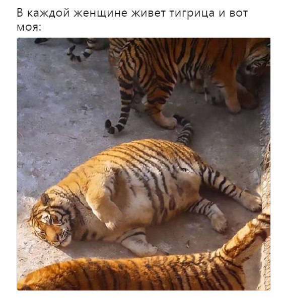 Нет, только показываю