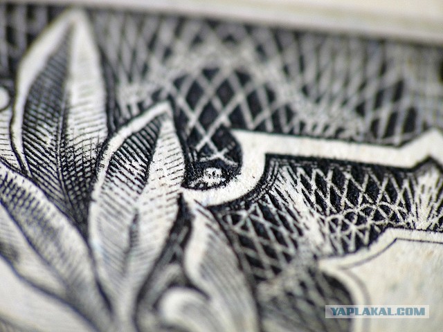 У гроба Папы Иоанна Павла II