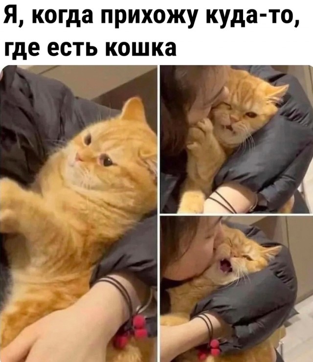 Немного картинок для настроения - 161