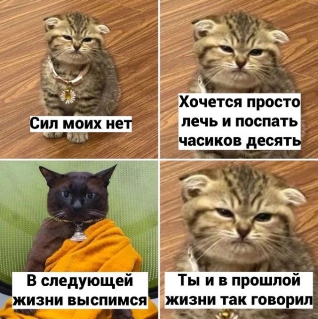 Картинки и мемы для настроения - 167