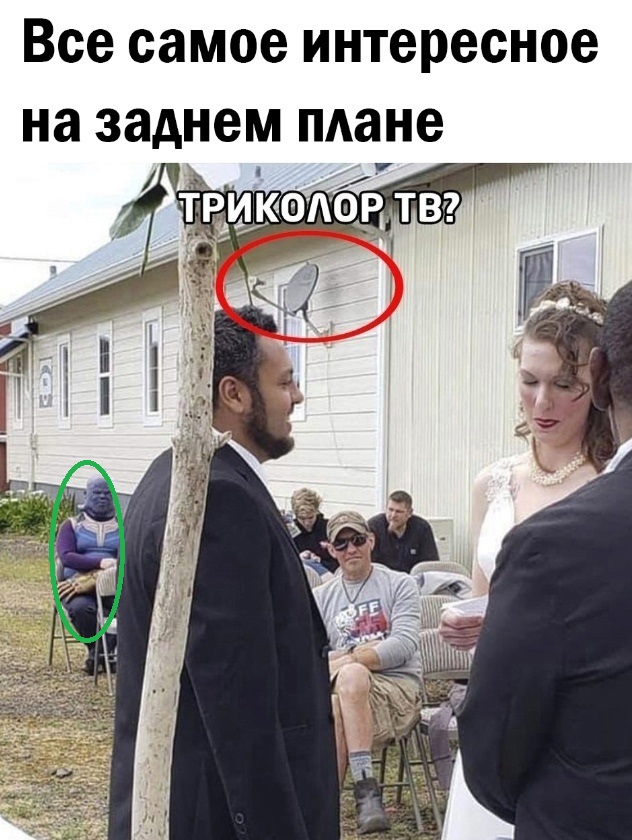 Так себе картинки 08.05.23