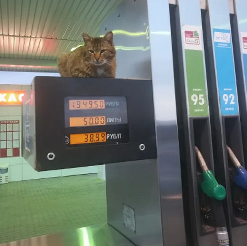 Случай на заправке