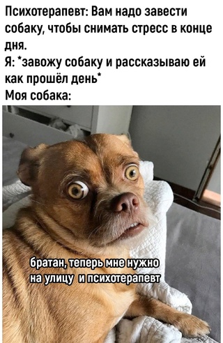 Картинки и мемы, всяко разно - 183