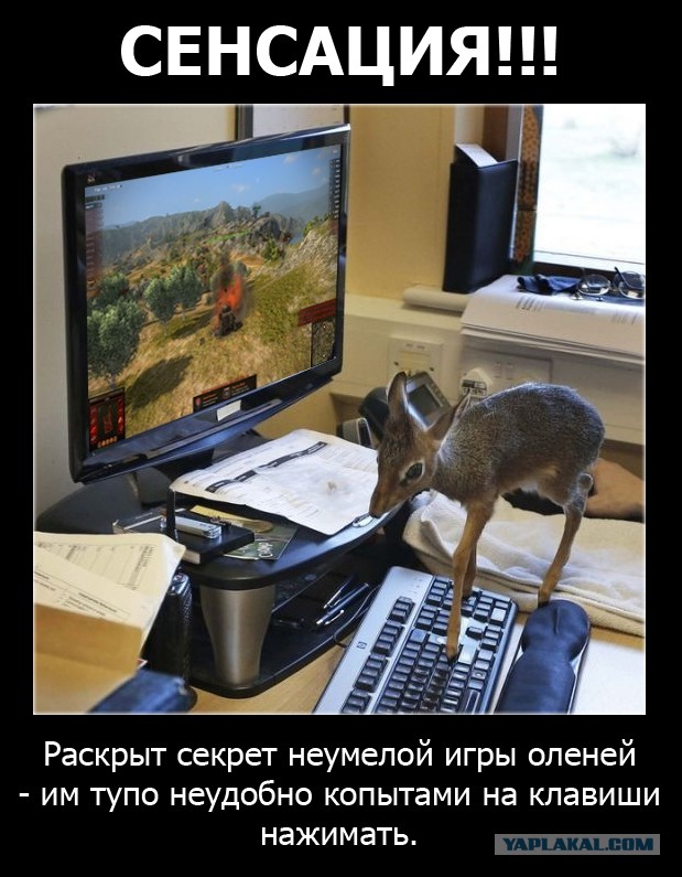 Wargaming 4