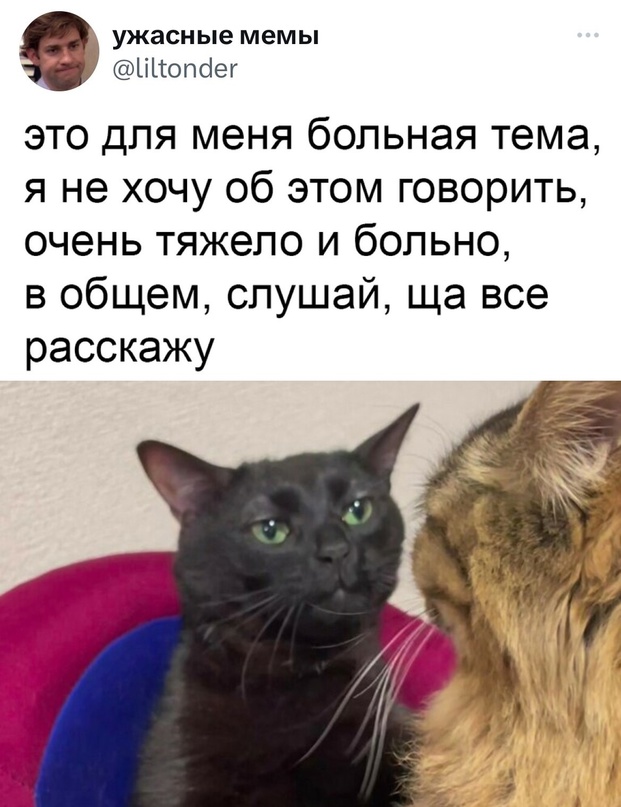 Весёлый полтишок 28.09.23