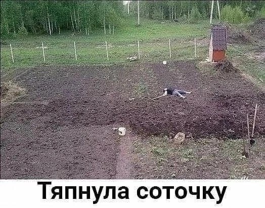 Перлы 30.01.24