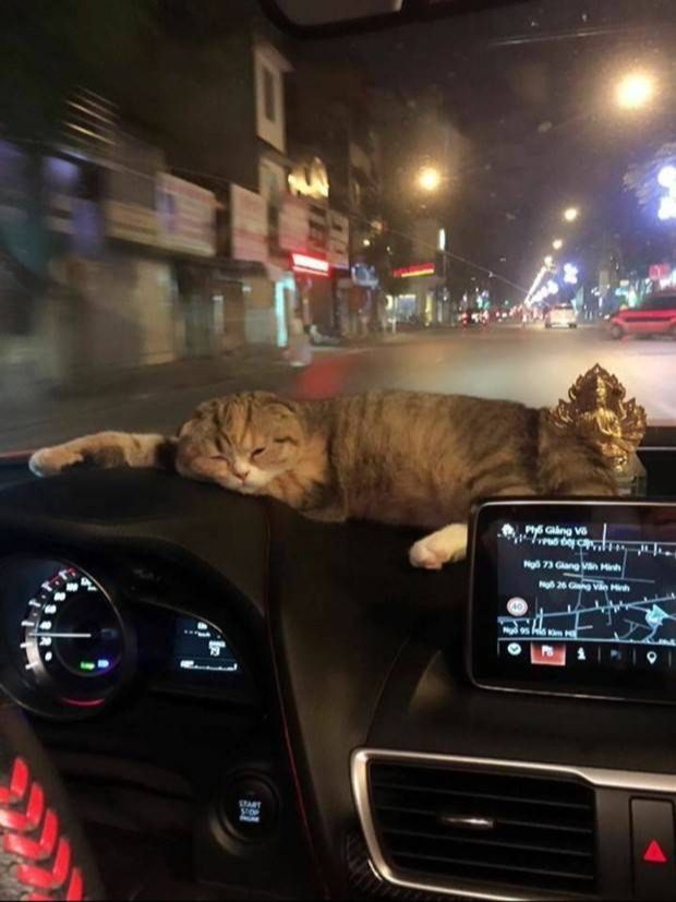 ФотоВинегрет