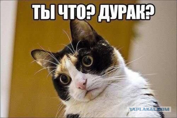Мемы про соскучился. Ну и молчи мем. Ну ты мне уже сказала. Ну ты мне уже сказала. Ну ты мне уже сказала.