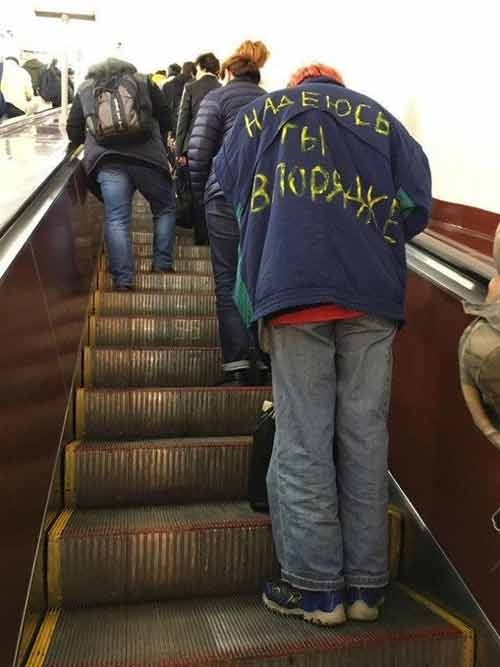 Веселые картинки к пятнице (08.11)