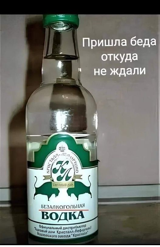 19552179.jpg