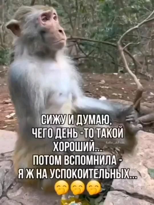 Так себе картинки 28.01.25