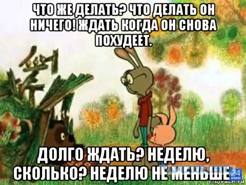 Самка сирийского хомячка застряла в пластиковом домике