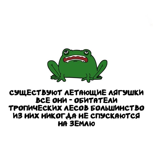Подборка интересных фактов на все случаи жизни 26.11.25