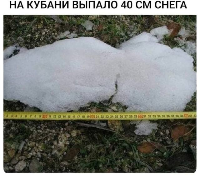 Не каждый год