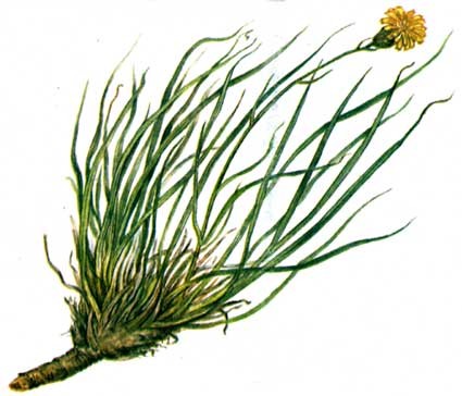 Чем на самом деле является гудрон и почему его грыз буквально каждый второй советский ребёнок