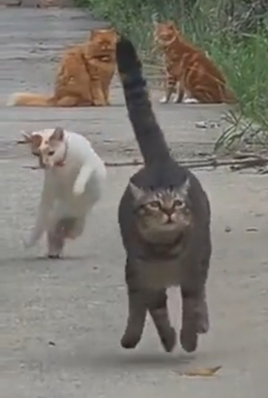 Мощный