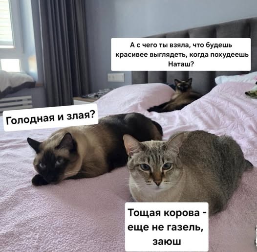 Картинки на среду