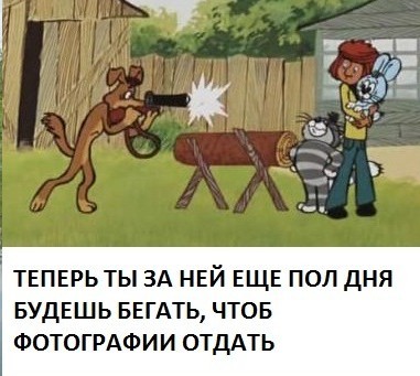 Моя охотничья собака