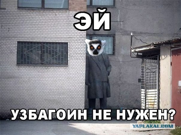 Откуда взялся узбагойся
