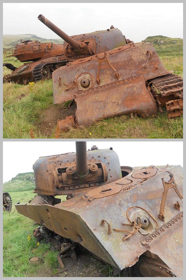 Wargaming 8