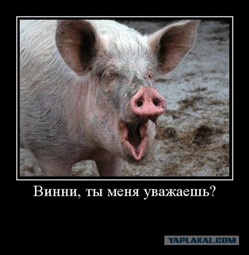 Мужик поймал белку