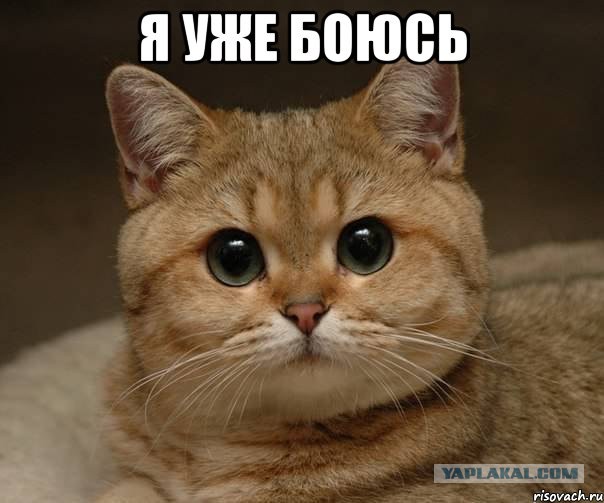 Бойся меня