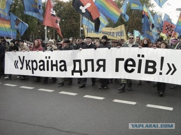 Подборка  позитивных картинок