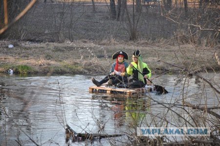 Меркель в печали о "Дональде Куке"