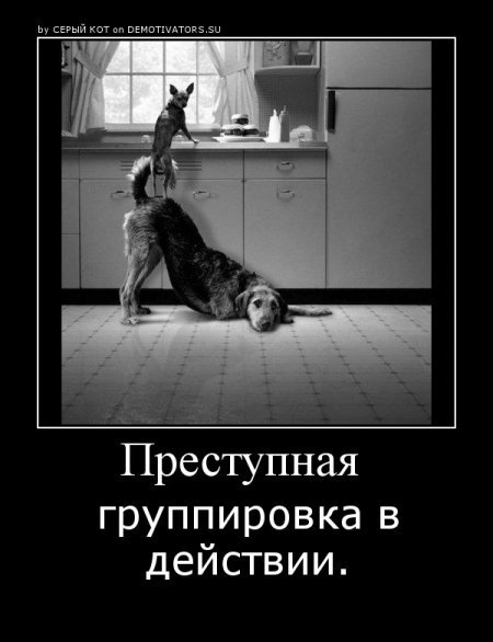 Смешные картинки