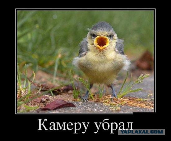 Позитивные картинки