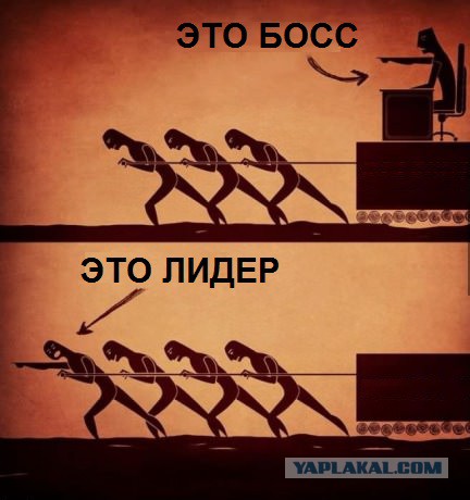Смешные комментарии из социальных сетей 09.06.14