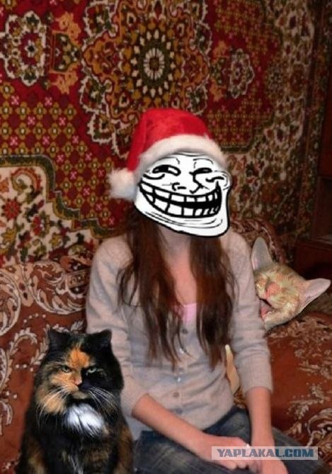 Ковры в соц-сетях