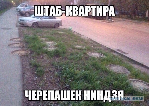 Немного позитива на пятницу