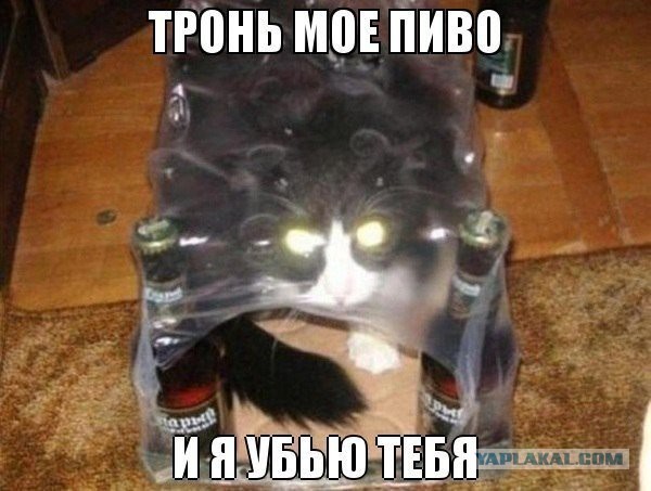 Прикольные картинки на понедельник .