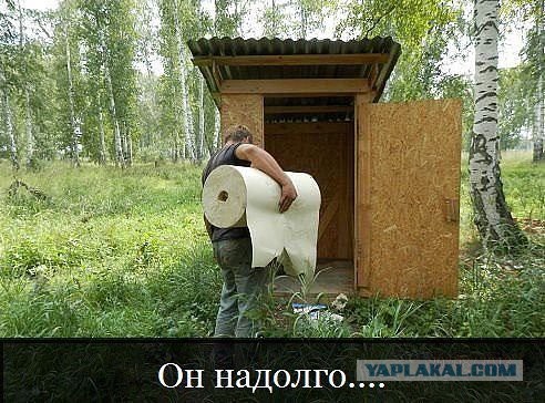 Культура посещения WC