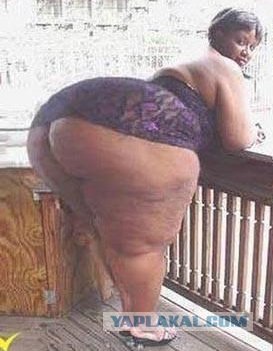 Вот это корма у дамочки!