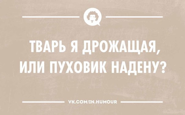 Подборка весёлых картинок