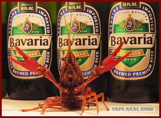 Накипело.