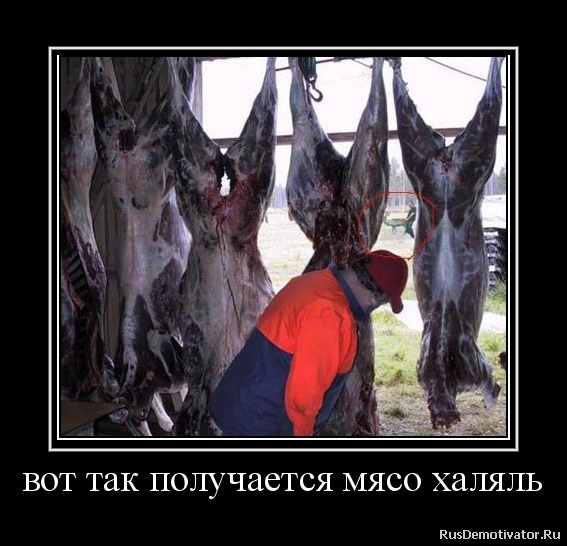 Мясник из Швейцарии 3 года обманывал покупателей.