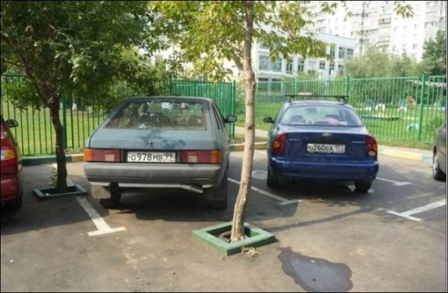 Весёлые картинки