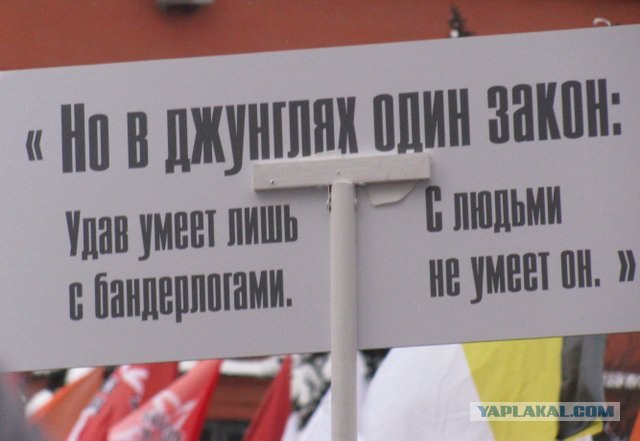 Лучшие плакаты с митинга 24.12