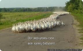 Забавные картинки из интернетов