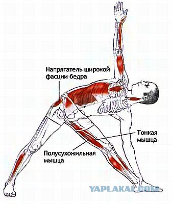 Гопники - их тайна раскрыта.