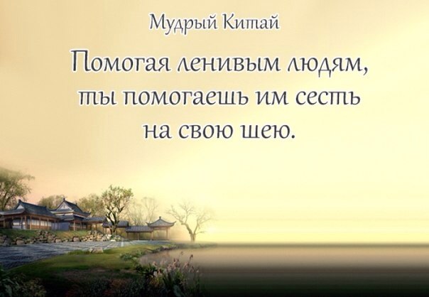 Я тупой, но горжусь этим. Ведь это модно.