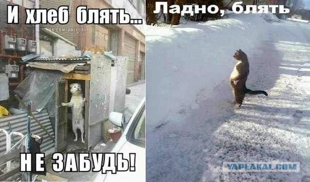 Картинки из сети к пятнице