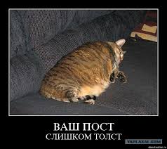 Случился конфликт с соседкой часть 2