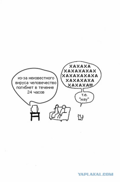 Инопланетное происхождение кошек