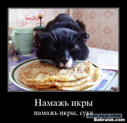 Плюшкиным посвящается