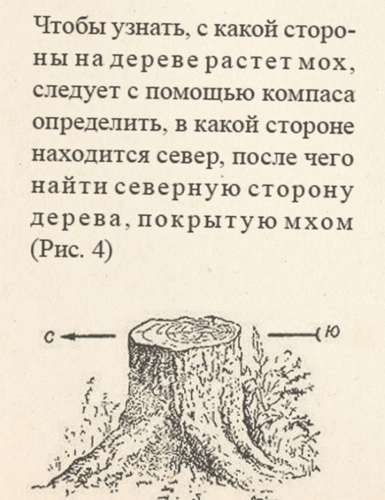 Картинки,ужасы,приколы из интернета,и соц.сетей