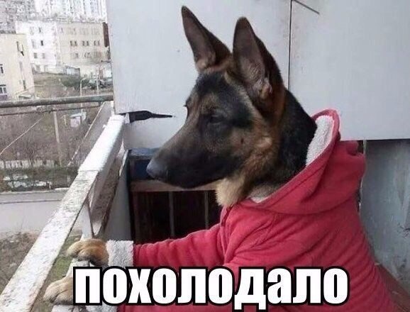 Картинки и демотиваторы